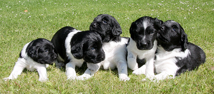 Ensimmäistä kertaa ulkona 26.7.2017